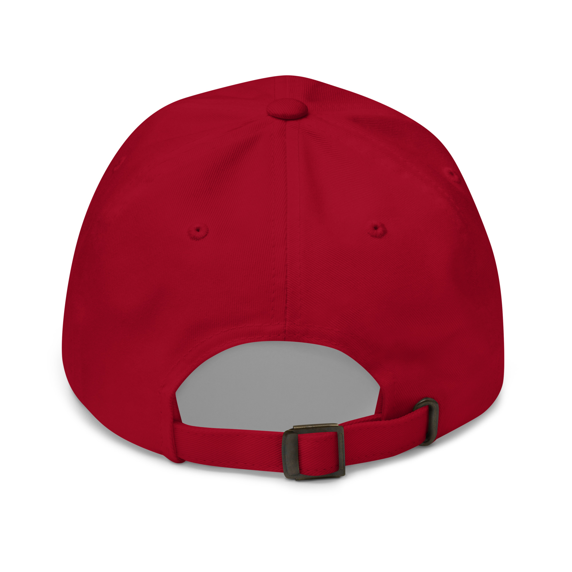 YHRK Dad Hat — Question Everything. · LVL2 - Image 13