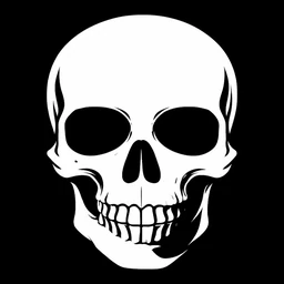 Skull YHRK Niveau 1 - Modèle Alternatif